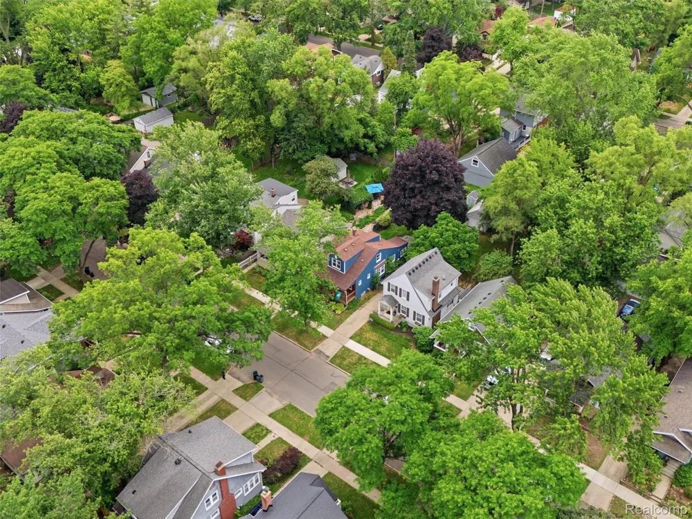 315 Leroy Street Ferndale City, MI 48220
