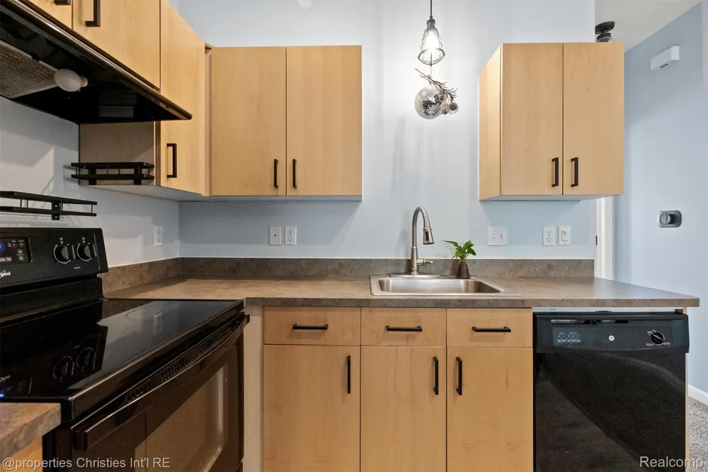 281 E Palmer Street #7 Detroit City, MI 48202