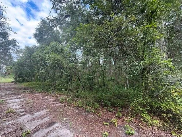 189 OAKWOOD TERRACE Inverness, FL 34453