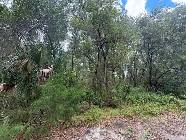 189 OAKWOOD TERRACE Inverness, FL 34453