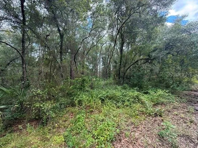 189 OAKWOOD TERRACE Inverness, FL 34453