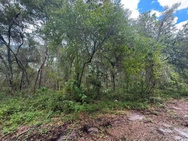 189 OAKWOOD TERRACE Inverness, FL 34453