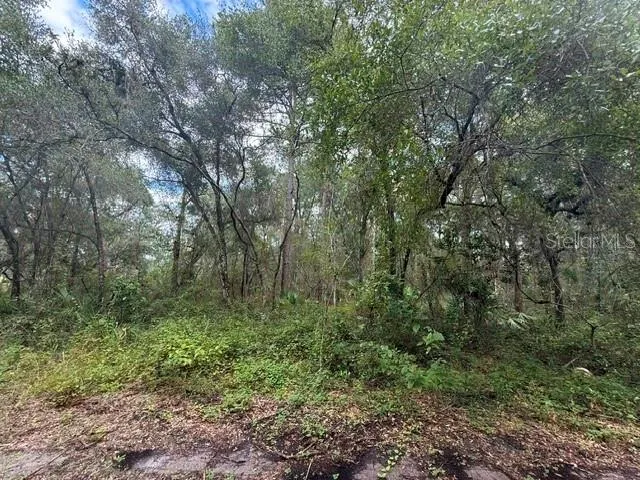 189 OAKWOOD TERRACE Inverness, FL 34453