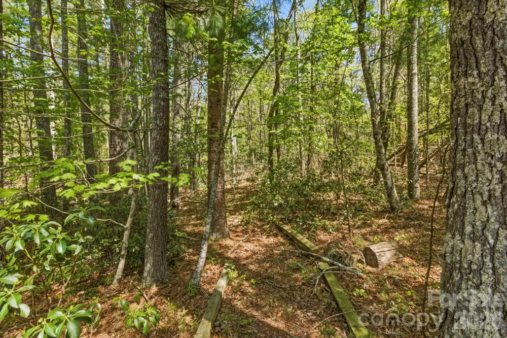 31 Ashbrook Meadows Fletcher, NC 28732