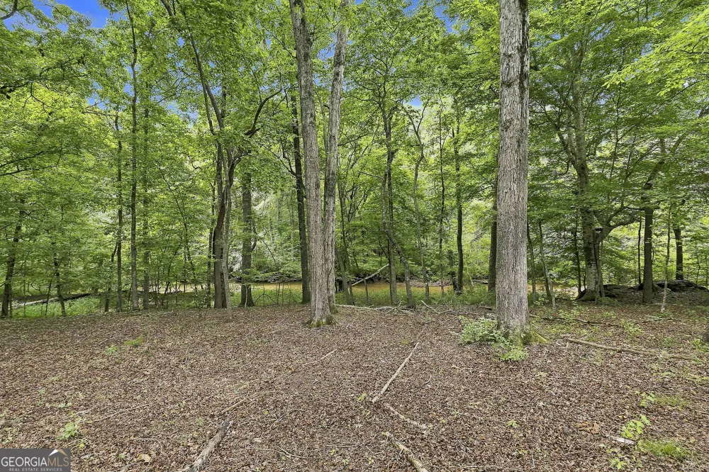 230 Windchime WAY Tyrone, GA 30290