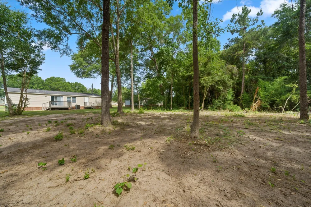 16333 Lone Corral Court Conroe, TX 77302