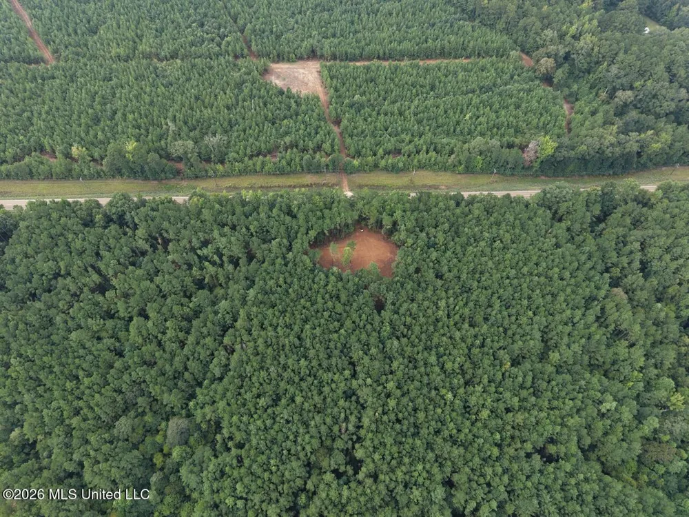 11853 Highway 24 Centreville, MS 39631