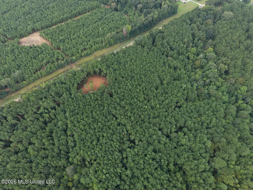 11853 Highway 24 Centreville, MS 39631