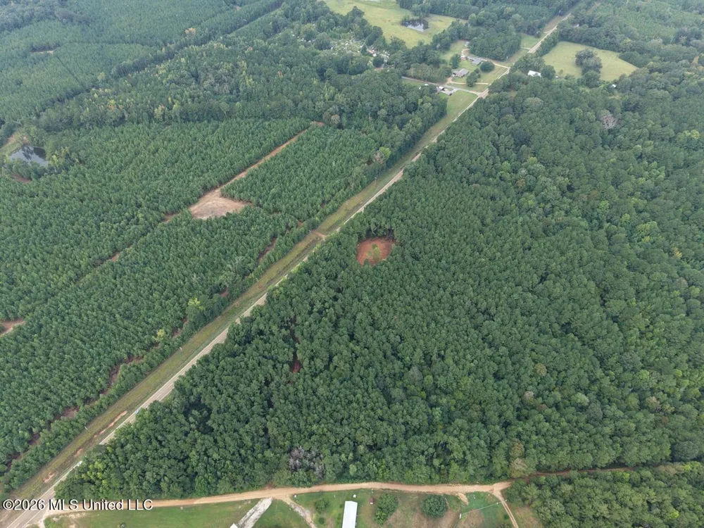 11853 Highway 24 Centreville, MS 39631