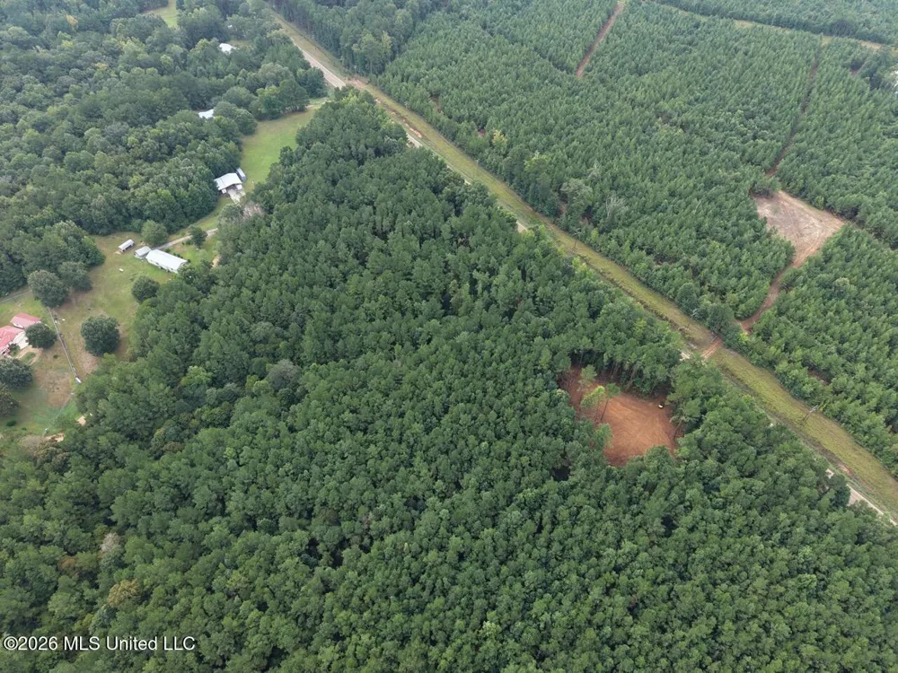 11853 Highway 24 Centreville, MS 39631