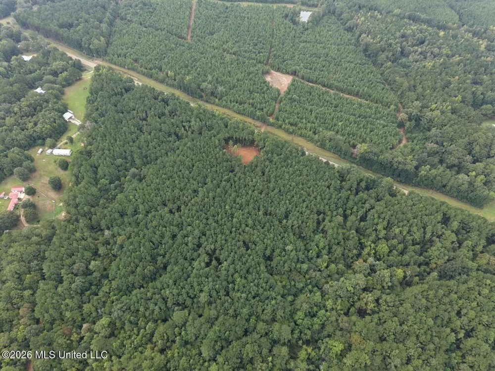 11853 Highway 24 Centreville, MS 39631