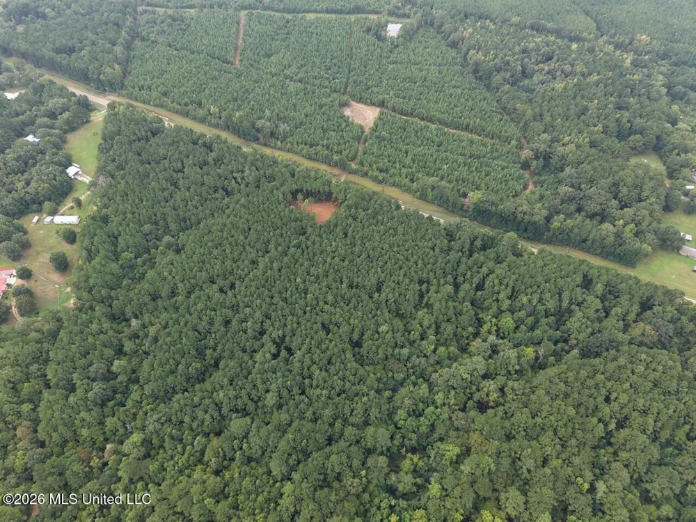 11853 Highway 24 Centreville, MS 39631