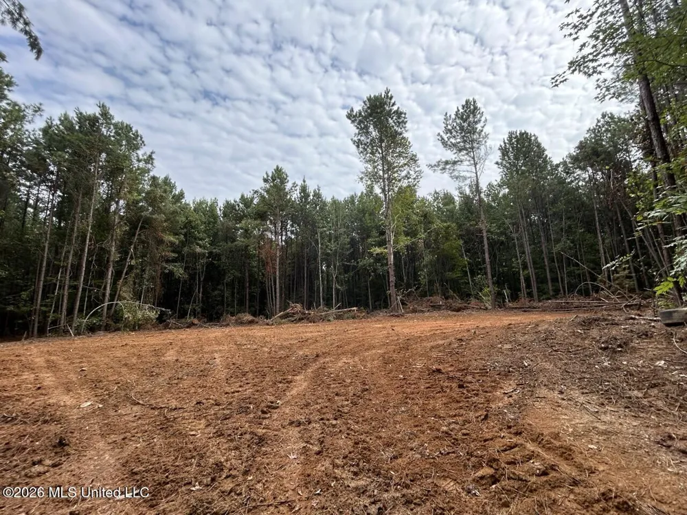 11853 Highway 24 Centreville, MS 39631