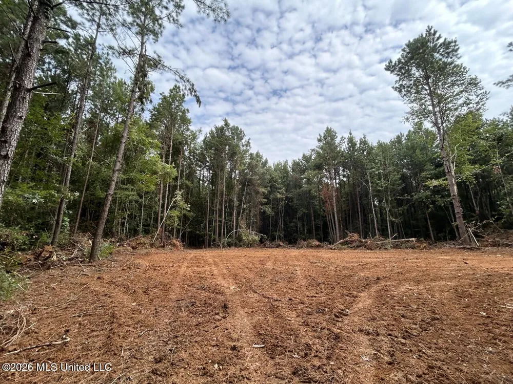 11853 Highway 24 Centreville, MS 39631