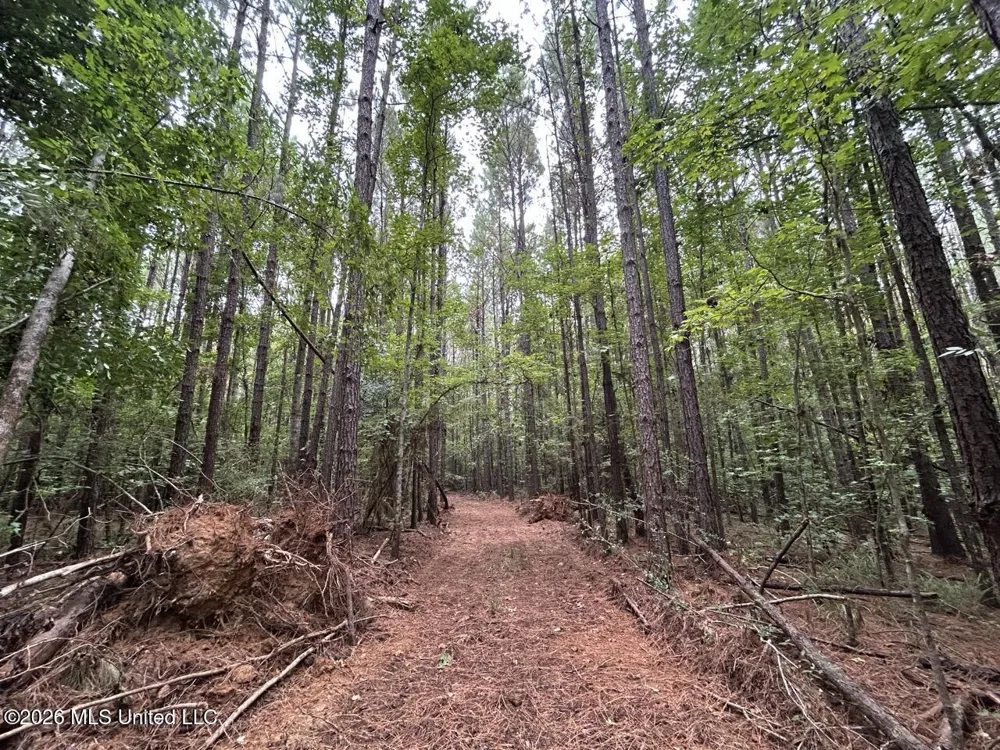 11853 Highway 24 Centreville, MS 39631
