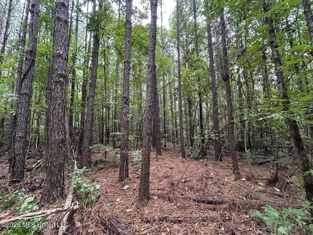 11853 Highway 24 Centreville, MS 39631