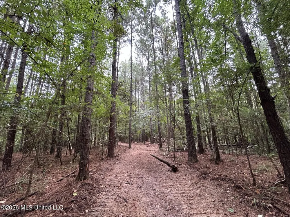 11853 Highway 24 Centreville, MS 39631