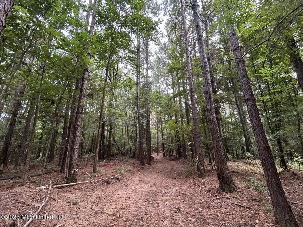 11853 Highway 24 Centreville, MS 39631