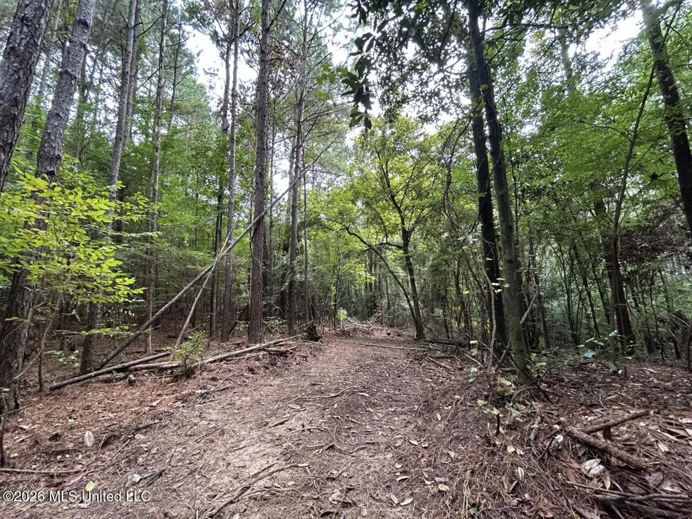 11853 Highway 24 Centreville, MS 39631