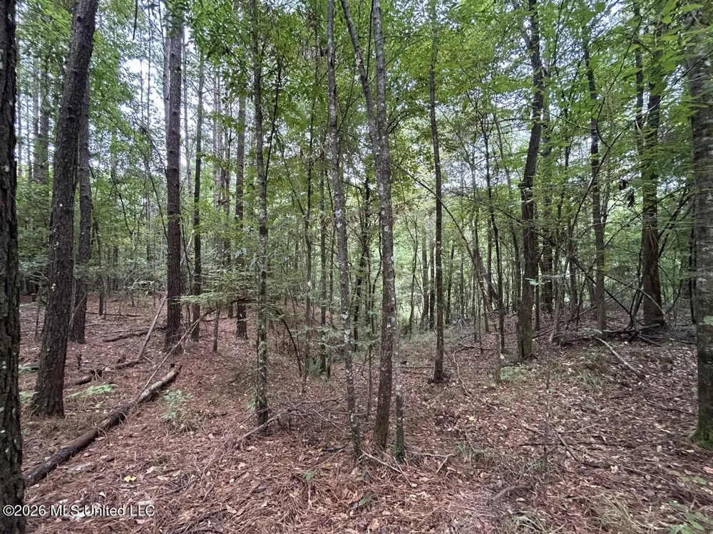 11853 Highway 24 Centreville, MS 39631