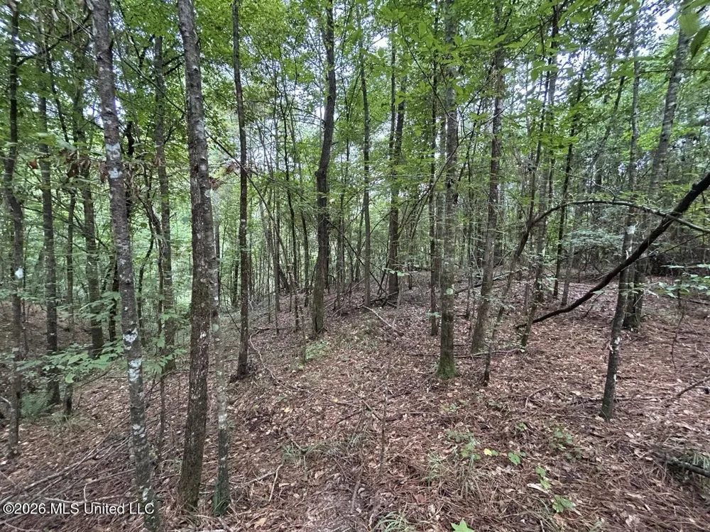 11853 Highway 24 Centreville, MS 39631
