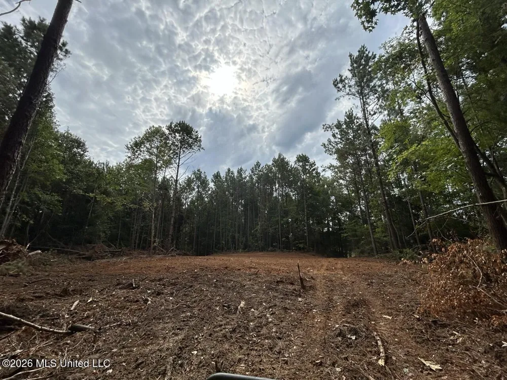11853 Highway 24 Centreville, MS 39631