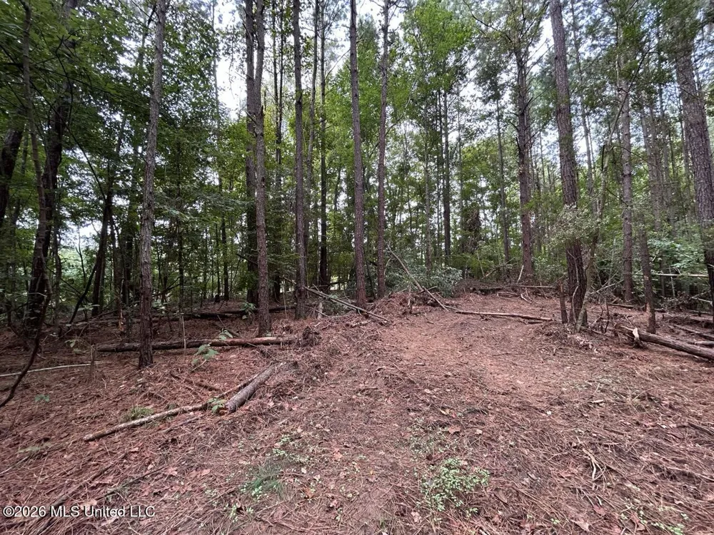 11853 Highway 24 Centreville, MS 39631