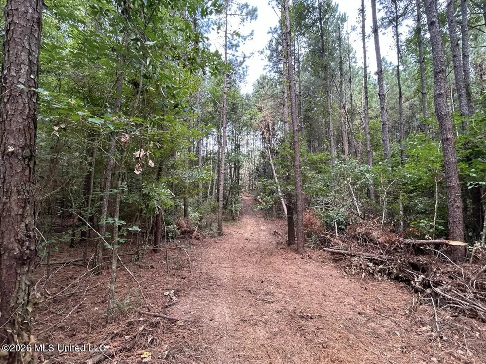 11853 Highway 24 Centreville, MS 39631