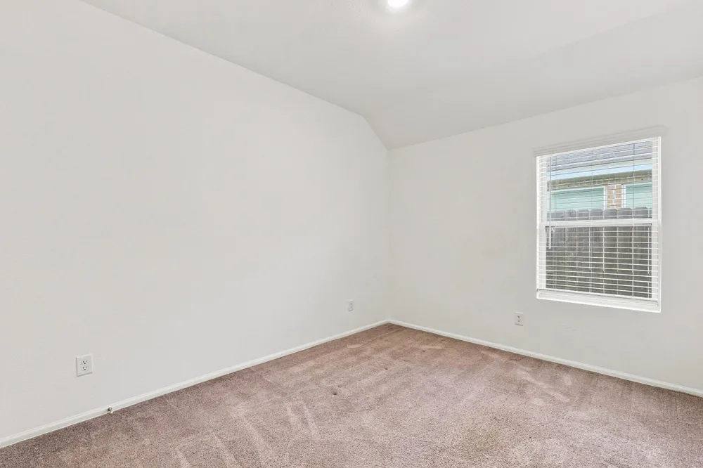 14222 Overbrook Willow Way Rosharon, TX 77583