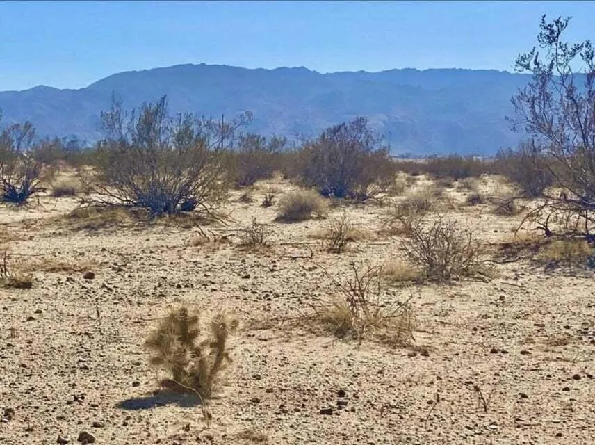 216 Araby Avenue 29 Palms, CA 92277