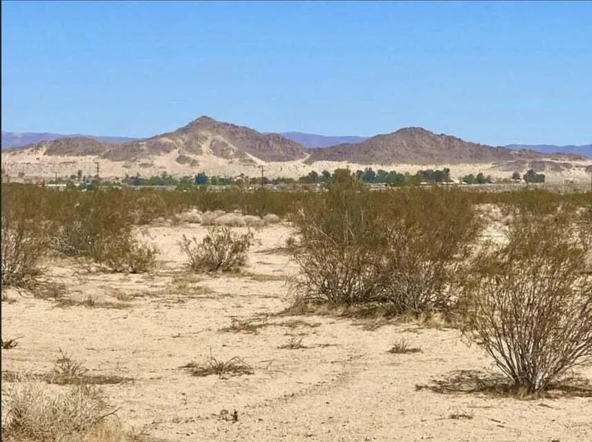 216 Araby Avenue 29 Palms, CA 92277