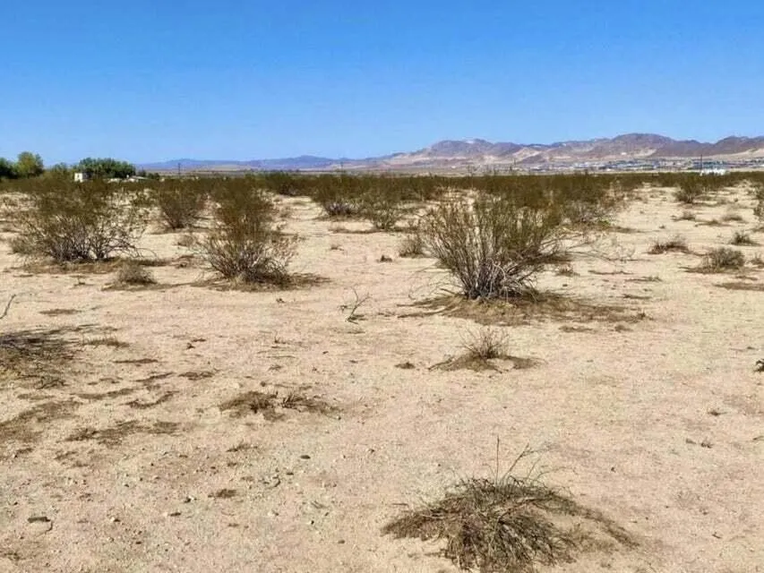 216 Araby Avenue 29 Palms, CA 92277