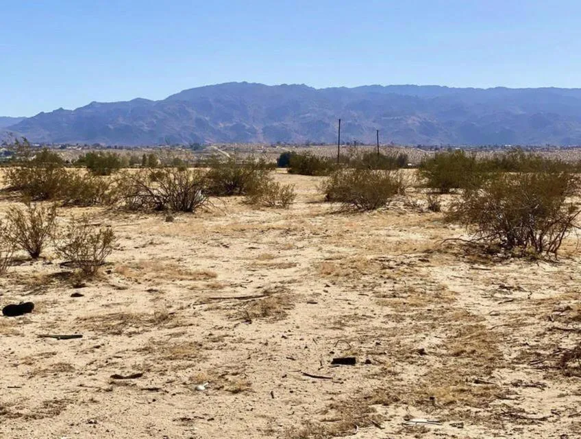 216 Araby Avenue 29 Palms, CA 92277