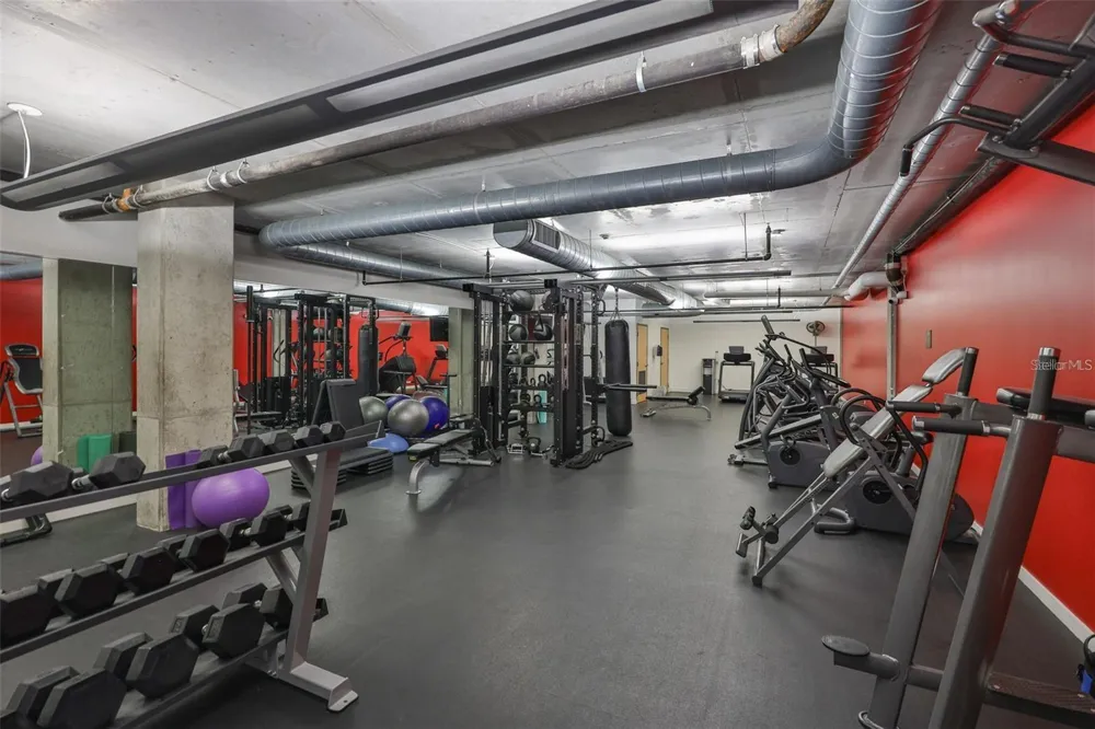 101 12TH STREET #305 Tampa, FL 33602