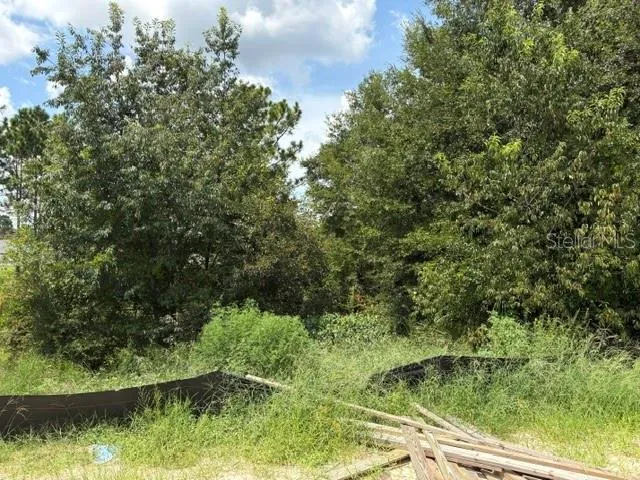 6734 SW 179TH AVENUE ROAD Dunnellon, FL 34432