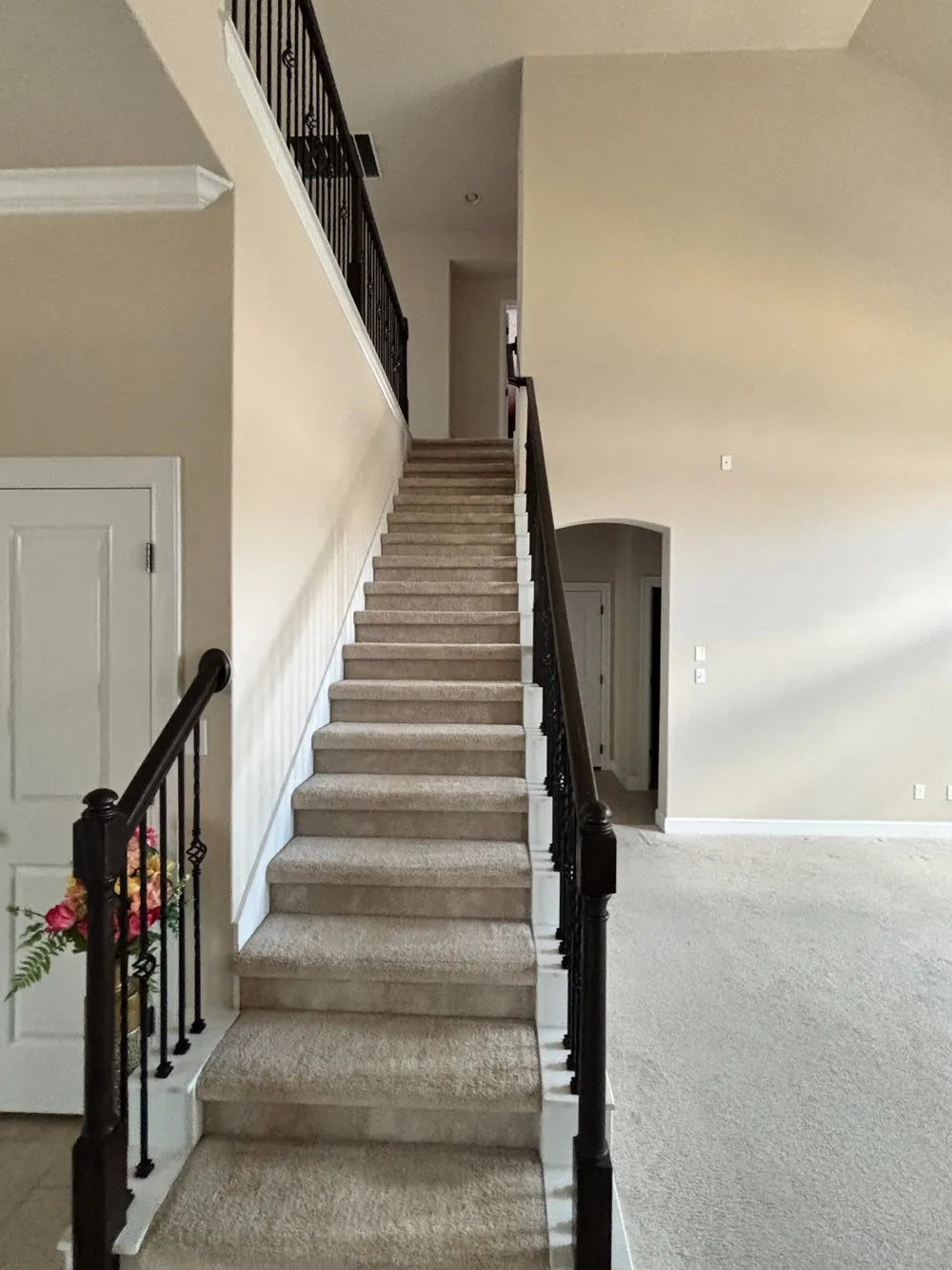 20516 Horned Owl Trail Pflugerville, TX 78660