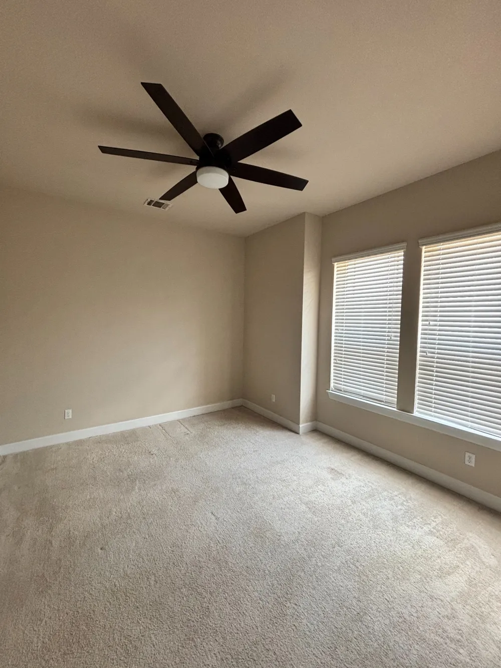 20516 Horned Owl Trail Pflugerville, TX 78660