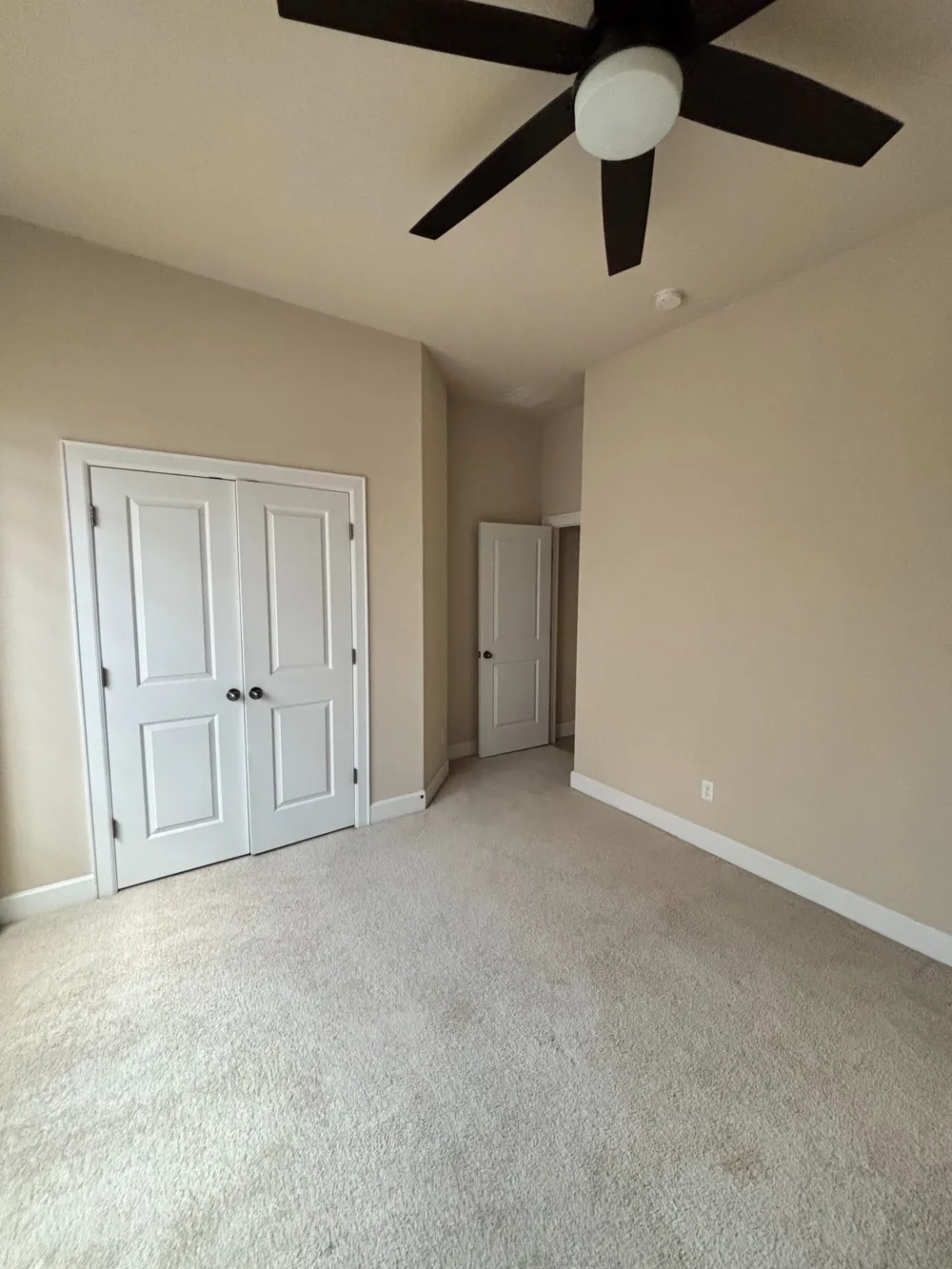 20516 Horned Owl Trail Pflugerville, TX 78660