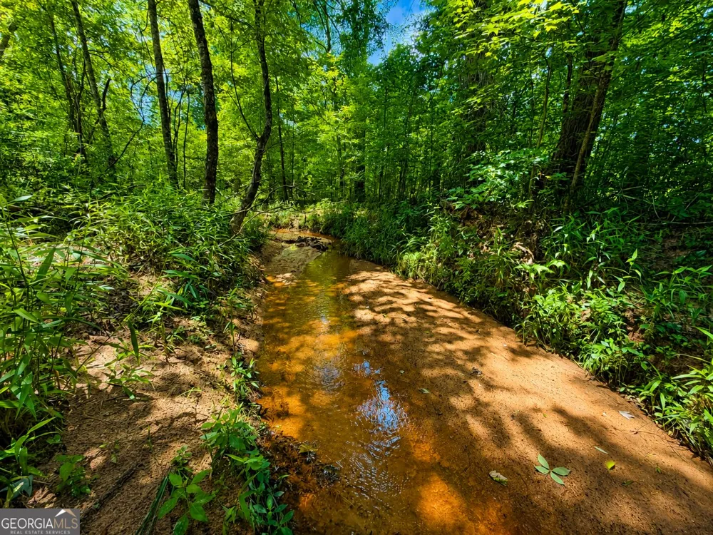 29 ACRES Cochran RD Madison, GA 30650