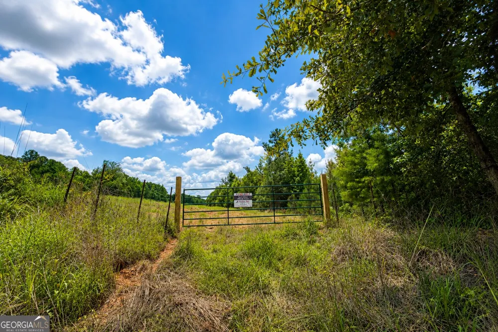 29 ACRES Cochran RD Madison, GA 30650