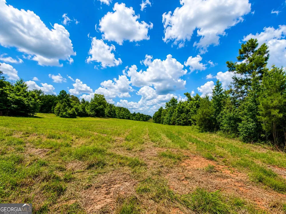 29 ACRES Cochran RD Madison, GA 30650