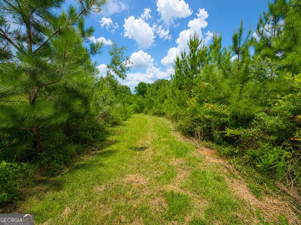 29 ACRES Cochran RD Madison, GA 30650