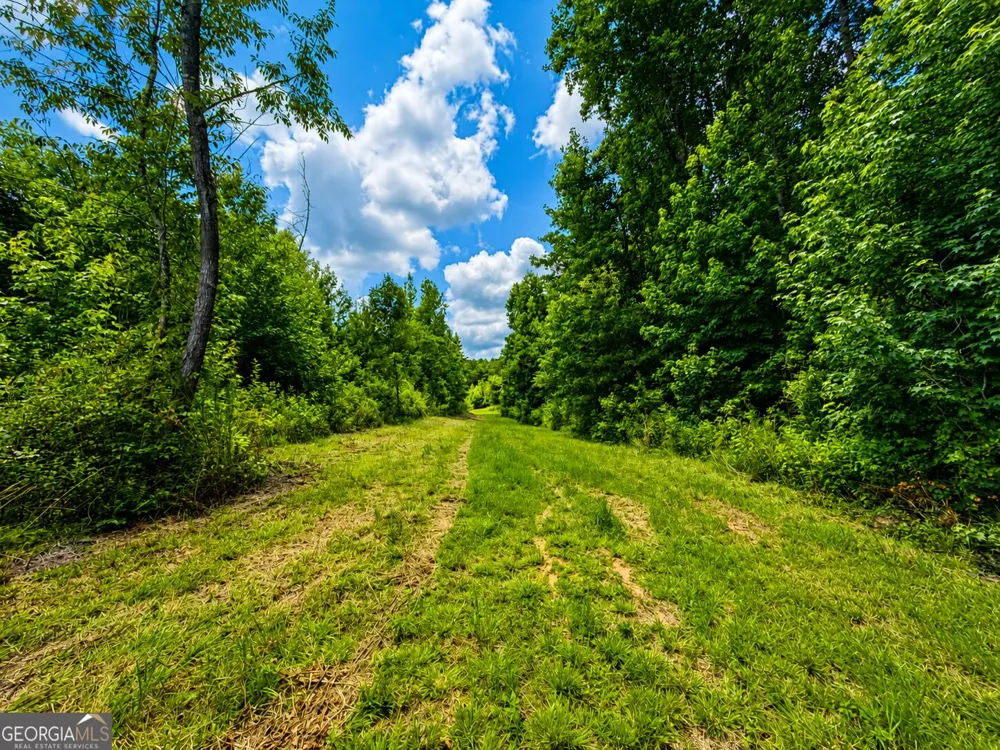 29 ACRES Cochran RD Madison, GA 30650