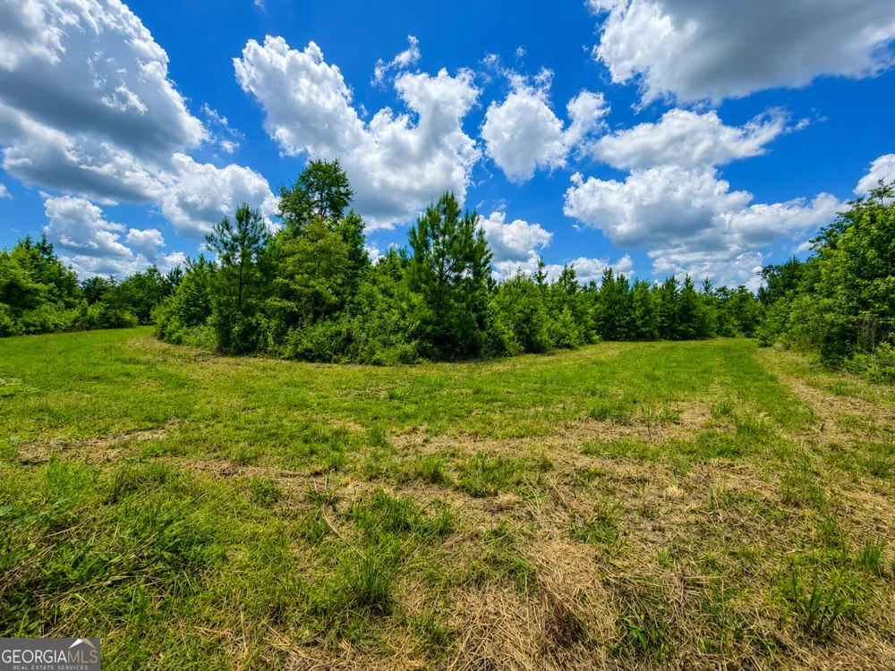 29 ACRES Cochran RD Madison, GA 30650
