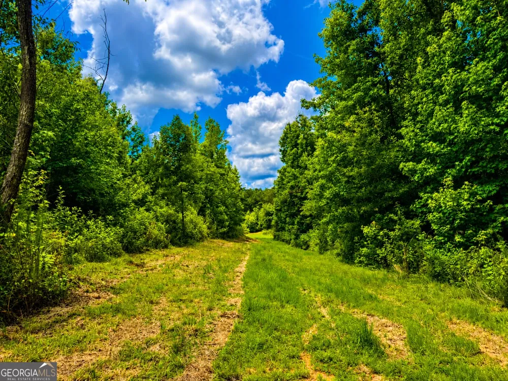29 ACRES Cochran RD Madison, GA 30650