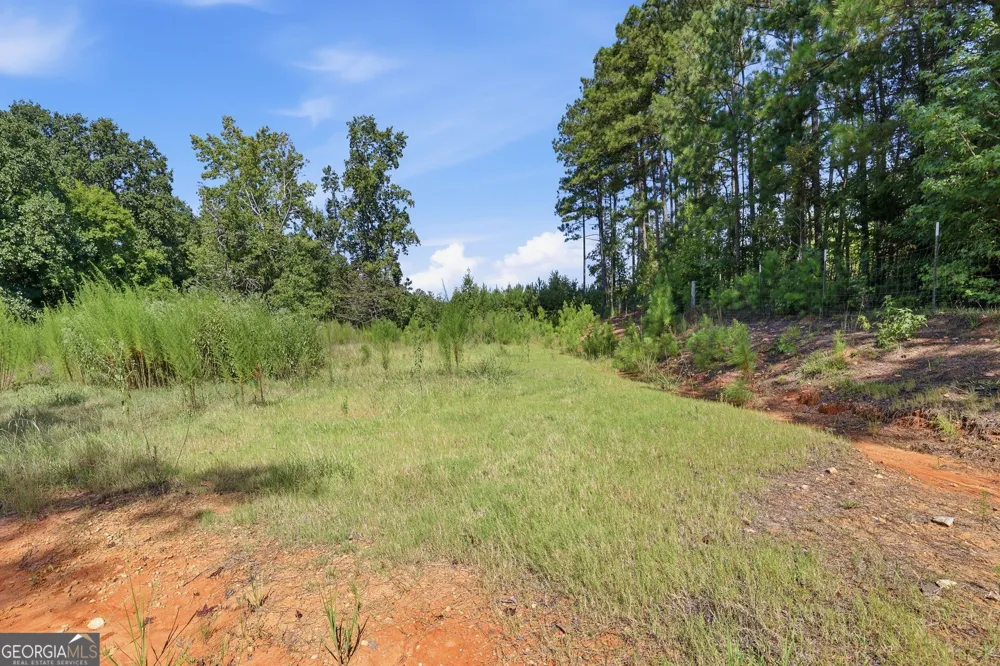 1100 Bodie Rayle RD Elberton, GA 30635
