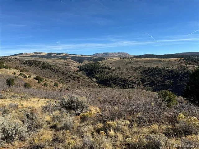 247 & 249 Boothby Lane Fort Garland, CO 81133