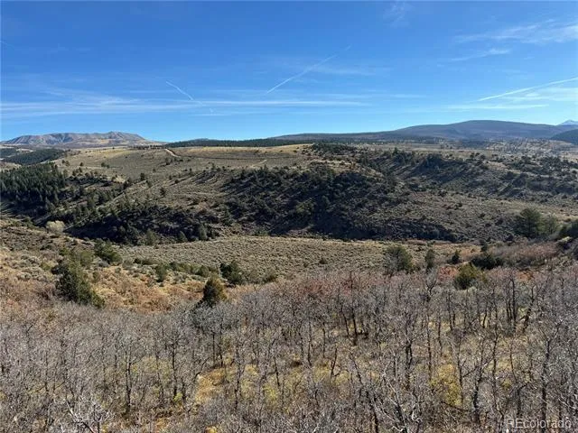 247 & 249 Boothby Lane Fort Garland, CO 81133