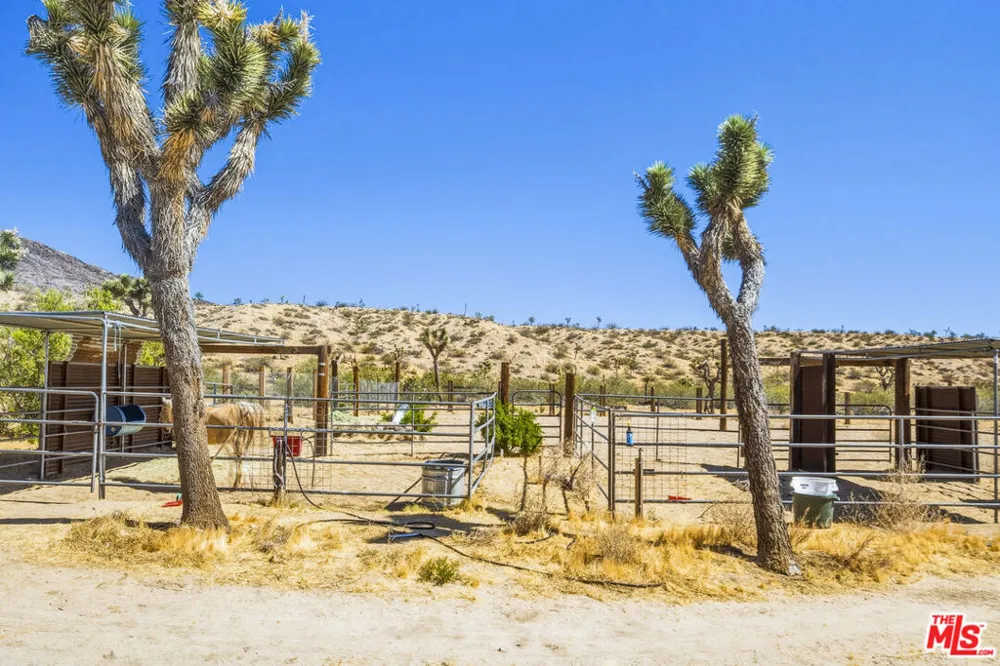55626 Pipes Canyon Road Yucca Valley, CA 92284