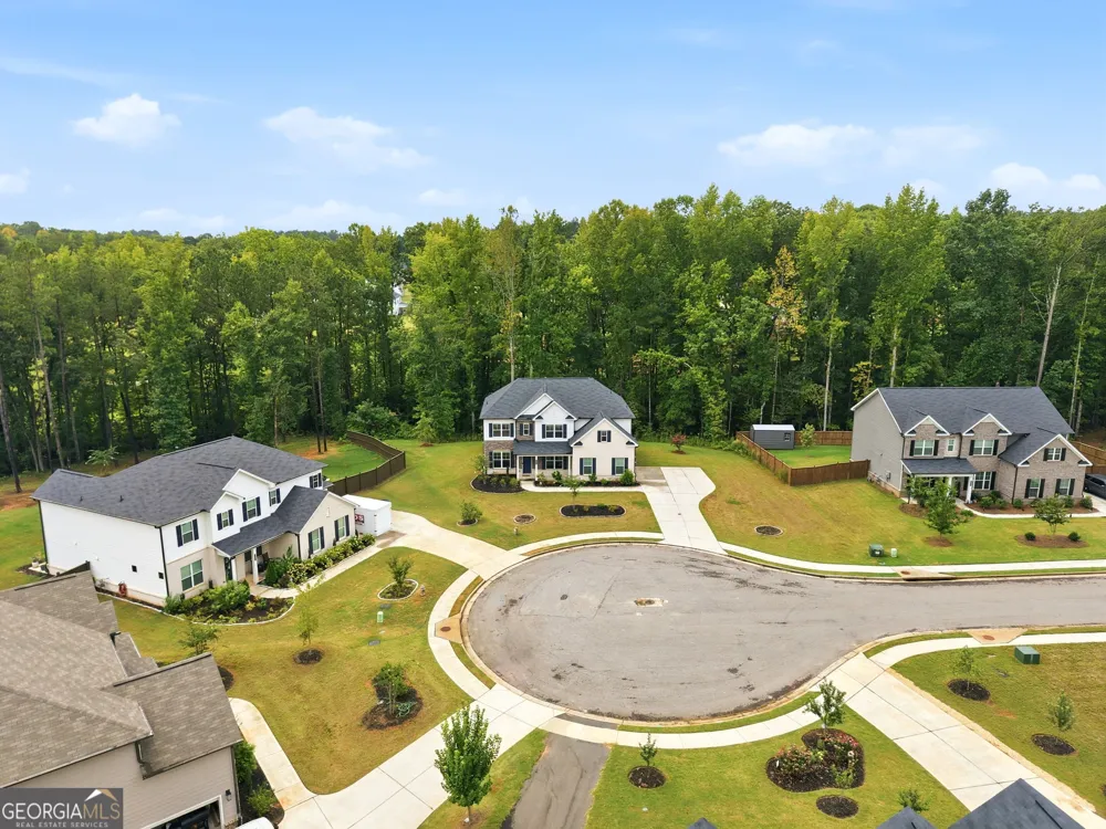 462 Sylvie DR McDonough, GA 30252